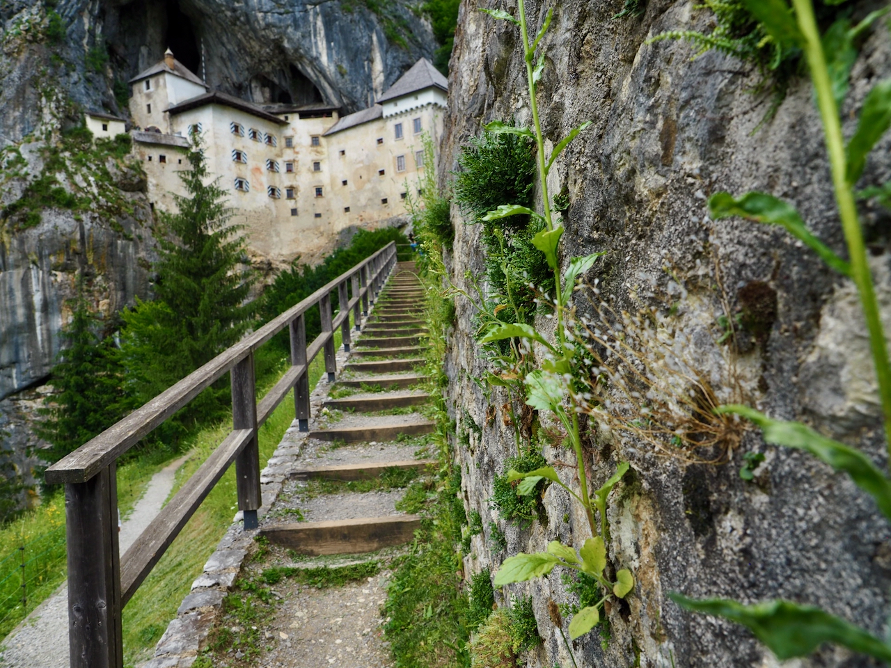 Die Burg Predjama steht vor einer großen Höhlenöffnung in einer steilen Felswand.